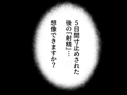 サンプル画像