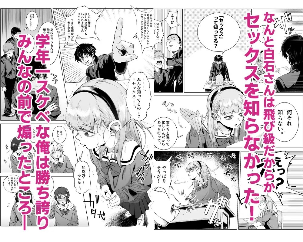 サンプル画像