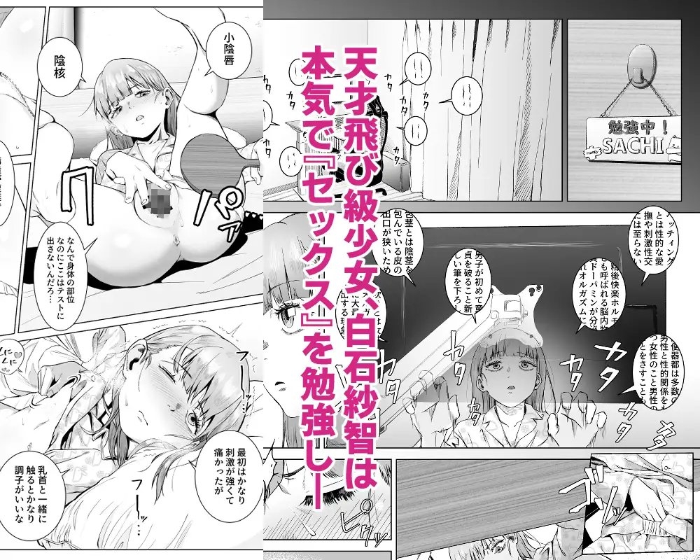 サンプル画像
