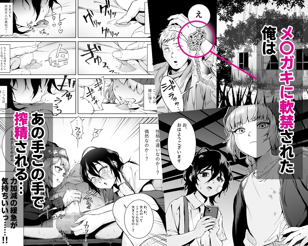 サンプル画像